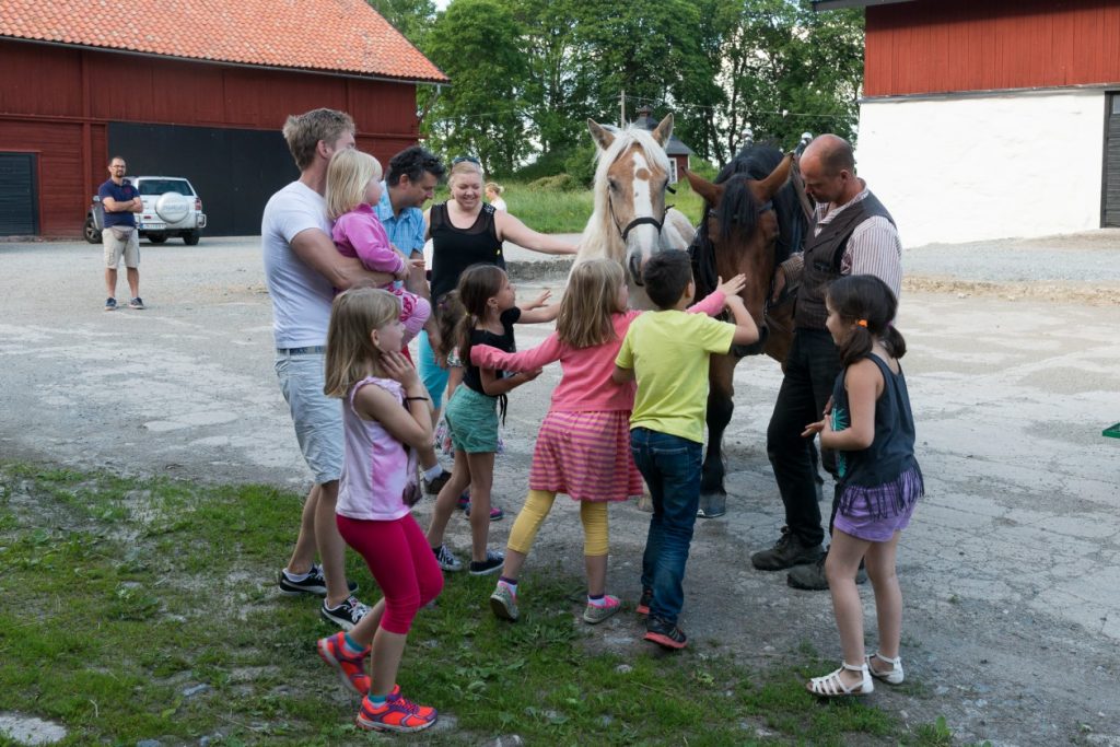 Sociala möten med häst hos Häst och grönsaksbonden. 