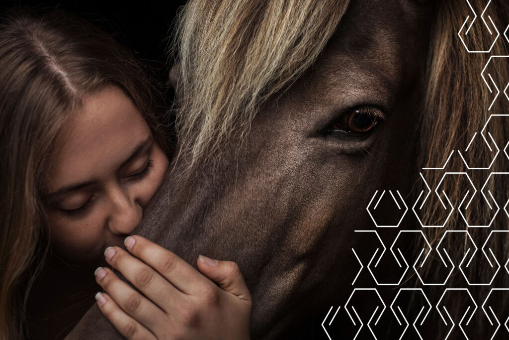 Välgörande hästkrafter, Gilla häst