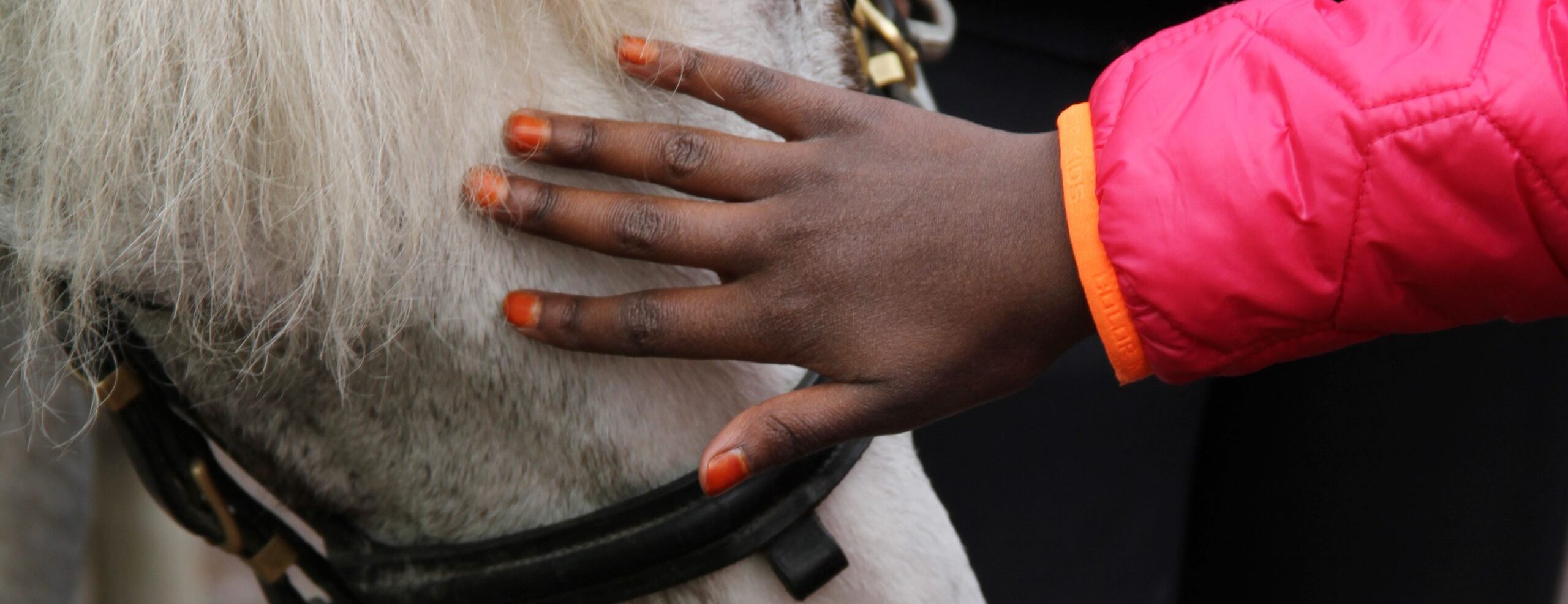 ”Min drömskola är en skola där alla lyckas och lär sig”